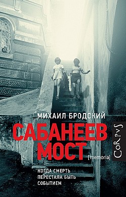 Сабанеев мост Михаил Бродский