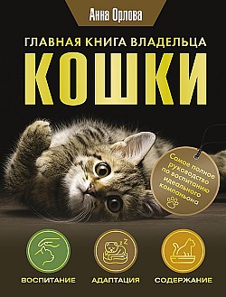 Главная книга владельца кошки Анна Орлова