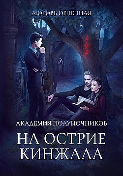 Академия Полуночников 2. На острие кинжала Любовь Огненная