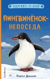 Пингвинёнок-непоседа Рэйчел Дэлахэй