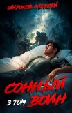 Сонный воин 3 Алексей Широков