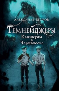 Темнейджеры. Каникулы в Чернолесье Александр Егоров