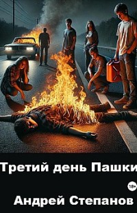 Третий день Пашки Андрей Степанов